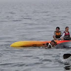 sortie kayak quiberon 25 septembre