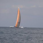 DSC02780 (Copier)